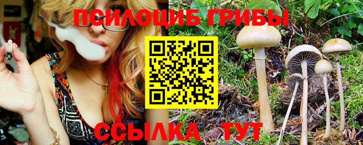 Галлюциногенные грибы MAGIC MUSHROOMS  Галлюциногенные грибы Psilocybe  Вход с VPN  Великий Новгород 